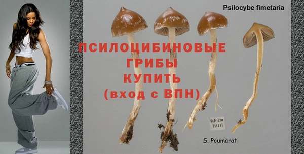 таблы Лабытнанги