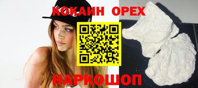 крисы Кингисепп