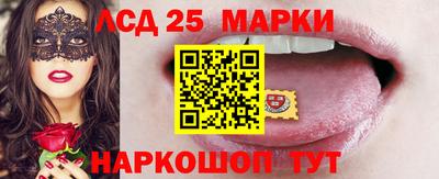 крисы Кингисепп