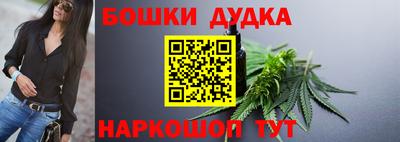 крисы Кингисепп