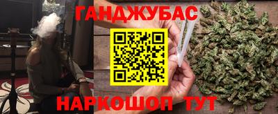 крисы Кингисепп