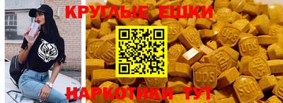 крисы Кингисепп