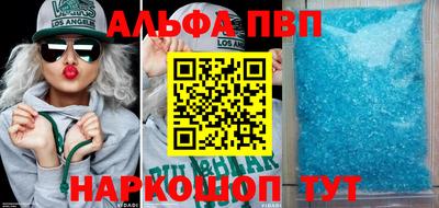 крисы Кингисепп